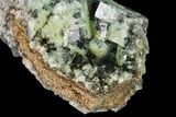 Quartz Encrusted Fluorite Crystal Cluster - Rogerley Mine #135711-2